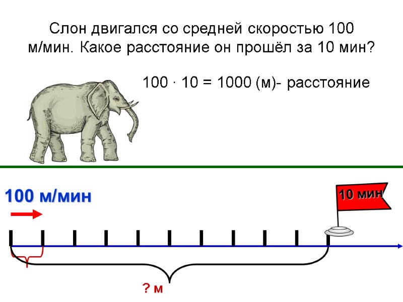 Слон двигался со средней скоростью 100 м/мин. Какое расстояние он прошёл за 10 мин?